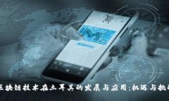区块链技术在土耳其的发展与应用：机遇与挑战
