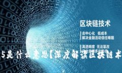 区块链币有5是什么意思？深度解读区块链术语及
