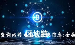 如何查询比特币钱包区块信息：全面指南